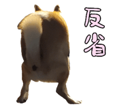 827205459