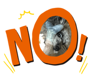 827205856