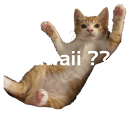 827208112