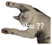 827208118
