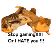 827208121