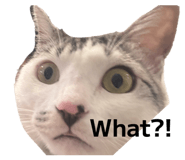 827208122