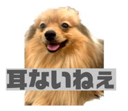 827210289