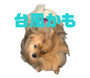 827210301