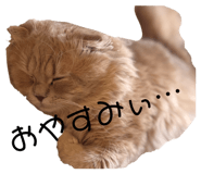 827214834