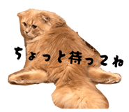 827214836