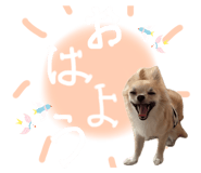 827215557