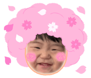 827215579
