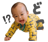 827244301