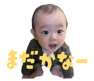 827244303