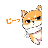 827245528
