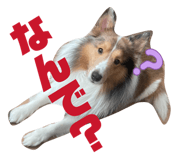 827251850