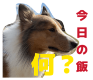 827251851