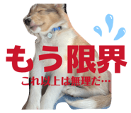 827251859