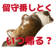 827251863