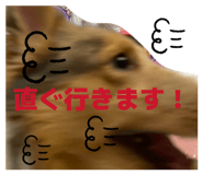 827251869