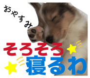 827251876