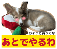 827251877