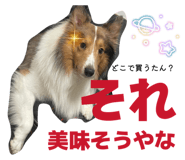 827251879