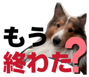 827251880