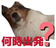 827251881