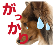 827251885