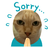 827253044