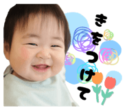 827256559