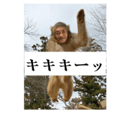 827257199