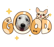 827257807