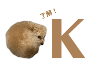 827261126