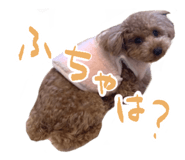 827266757
