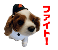 827274308