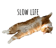 827275890