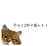 827275902