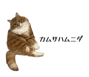 827275905