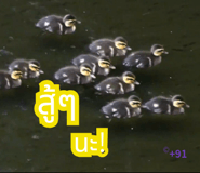 827277444