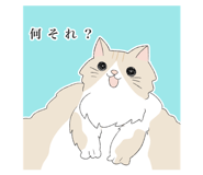 827280456