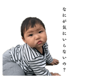 827281224