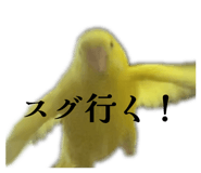 827286610