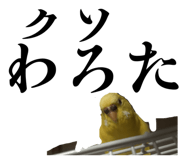 827286614