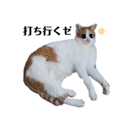 827290606