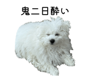 827290858