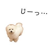827290862