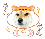 827291225