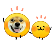 827291231