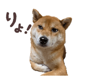 827291232
