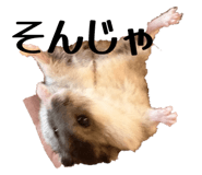 827327816