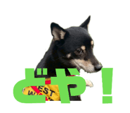827335580