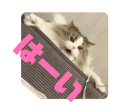 827335587
